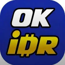 IDROK - Dompet Digital Canggih untuk Keuangan Anda